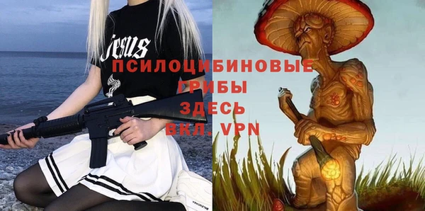 спайс Кулебаки