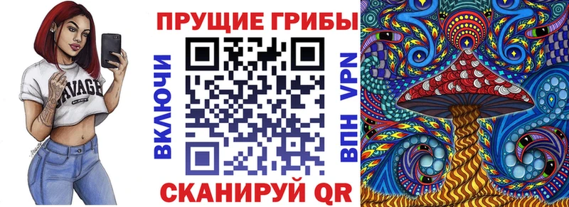 ссылка на мегу закладка Абакан Галлюциногенные грибы Magic Shrooms