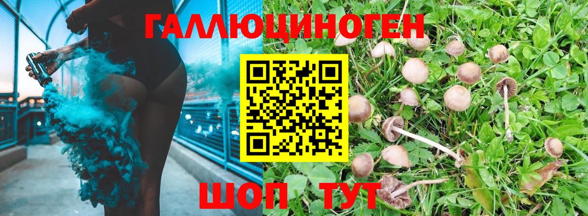 Галлюциногенные грибы ЛСД Абакан