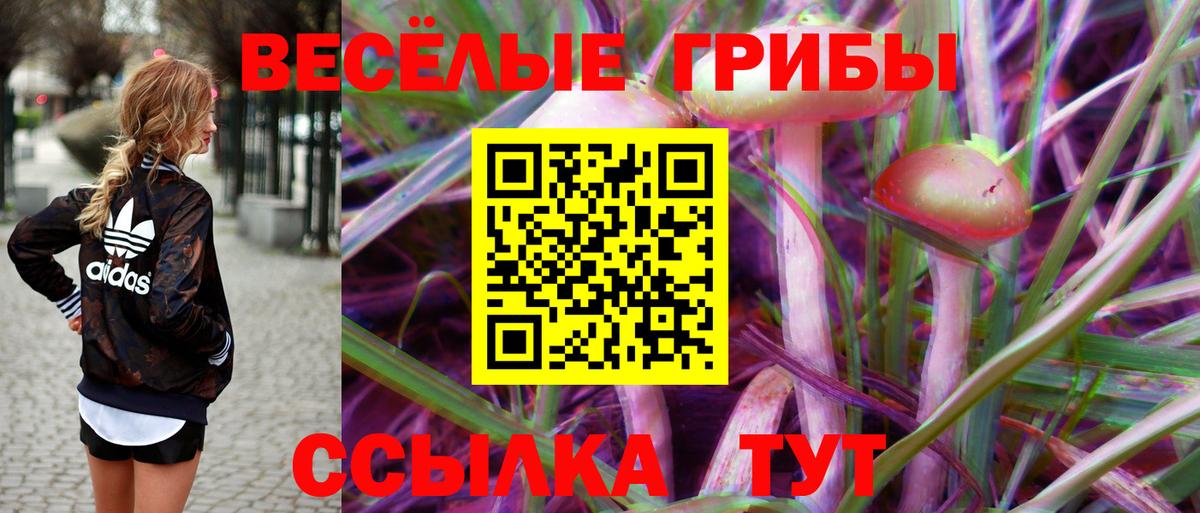 Галлюциногенные грибы мицелий  где найти наркотики  Абакан  Галлюциногенные грибы Cubensis  Вход с VPN 